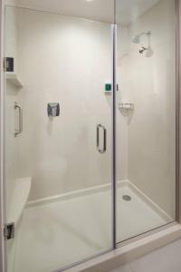 La salle de bains est pourvue d'une douche avec une porte en verre. dans l'établissement Fairfield Inn & Suites by Marriott Midland, à Midland
