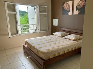 ein Schlafzimmer mit einem Bett mit einem großen Fenster in der Unterkunft MAGNIFIQUE APPARTEMENT VUE MER, SUITE PARENTALE. in Les Trois-Îlets