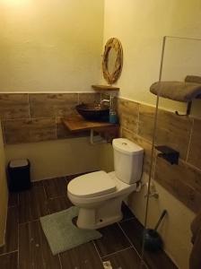a bathroom with a toilet and a sink and a mirror at Bamboo Suites in Jan Thiel