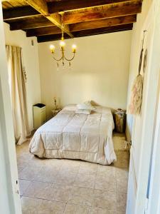 里奧加耶戈斯的住宿－Casa Completa，一间卧室配有一张床和一个吊灯