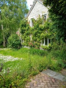 Ảnh trong thư viện ảnh của Cozy Somerset country cottage ở Somerton