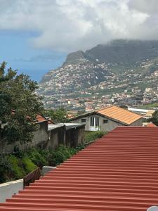 a red carpet path with a mountain in the background at MADEIRA SHOPPING- 10min to Funchal in Funchal