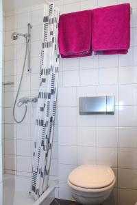une salle de bain avec douche, toilettes et serviettes roses dans l'établissement Ferienwohnungen Moselterrasse, à Detzem 14 autres photos