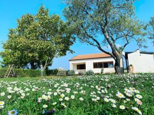 un campo de flores frente a una casa en Villa Casa Kalandra, en Rovinj