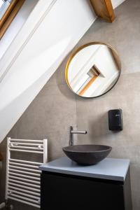 a bathroom with a sink and a mirror on the wall at Boldiek - Genieten van rust en ruimte in de Achterhoek in Halle