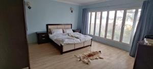 un perro tirado en el suelo en un dormitorio en Hostel Dar Alslam, en Nizwa