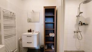 a bathroom with a sink and a shower at L'appartement de l'Arche in Châteauneuf-de-Gadagne