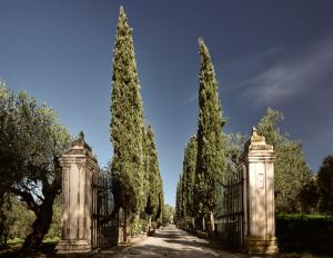 an entrance to a mansion with a fence and trees at Almeira 4acre Estate, for Unparalleled Seclusion, By ThinkVilla in Zakynthos