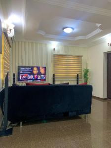 a waiting room with a couch and a tv at Comfortable 2BDR Apt - Superb power supply, Wi-Fi, Kitchen, Netflix, Mins to Airport in Agege