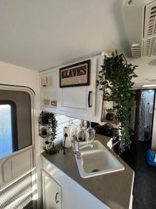 a kitchen with a sink in an rv at Son de Mar Camper - Shared Pool near to the Beach in Arecibo
