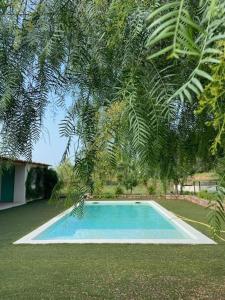 una pequeña piscina en un patio con un árbol en Emplacement idéal dans le Var ! en Cuers