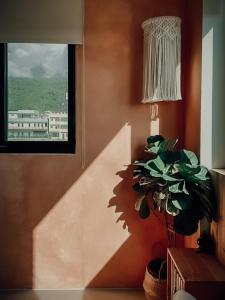 Fotografie z fotogalerie ubytování 白木宿客WoodWhite House v destinaci Toucheng