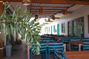 una classe con sedie, tavoli e una pianta di Atalaia VIP Praia Hotel a Salinópolis