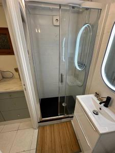 een badkamer met een douche en een wastafel bij Studio purple proche Paris in Chennevières-sur-Marne