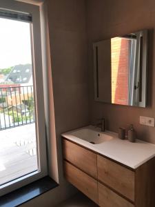 een badkamer met een wastafel en een raam bij Residentie Sluispark in Gent