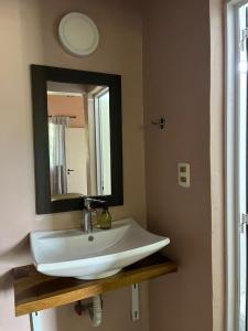 a bathroom with a sink and a mirror at LA SELVA MONOAMBIENTES in Puerto Iguazú