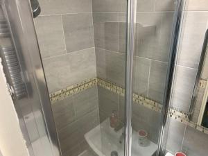 a shower with a glass door next to a toilet at Stylish studio flat in City Centre Nottingham in Nottingham