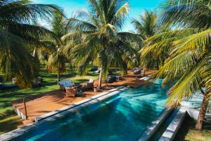 an overhead view of a swimming pool with palm trees at Villas Taturé in São Miguel dos Milagres