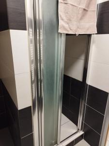 een douche met een glazen deur in de badkamer bij Apartments Manhattan in Teplice