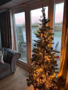 un árbol de Navidad en una sala de estar con ventana en West Lodge Cottage en Morpeth