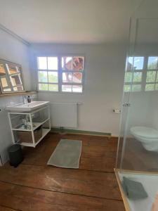 ein Badezimmer mit Waschbecken und Toilette in einem Zimmer in der Unterkunft Gemütliches Bauernhaus am Bodensee in Deggenhausertal