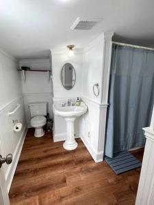 a bathroom with a sink and a toilet and a mirror at Large studio apartment steps from the US Capitol! in Washington