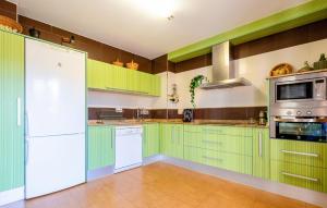La cuisine est équipée de placards verts et d'un réfrigérateur blanc. dans l'établissement Amazing Apartment In Lorca With Kitchenette, à Lorca