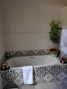 uma banheira com uma planta na casa de banho em One Three Nine On Roberts em Pietermaritzburg