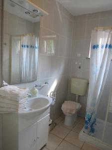 a bathroom with a sink and a toilet and a mirror at Villa Palme 1 in Opatija