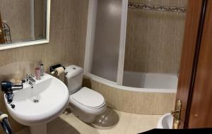 La salle de bains est pourvue de toilettes, d'un lavabo et d'une douche. dans l'établissement Apartamento Magdalena, à Haro