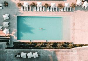 une personne nageant dans une grande piscine dans l'établissement Lamego Hotel & Life, à Lamego
