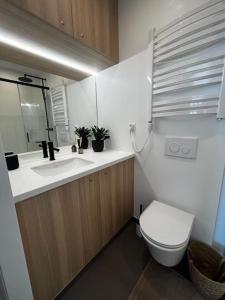 uma casa de banho com um WC e um lavatório em Good Spot Zieleniec Twin Prestige 02 em Duszniki Zdrój