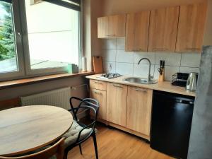a kitchen with a table and a table and a sink at Alfa2 apartament 1 in Bystra