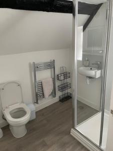 een badkamer met een toilet en een wastafel bij The White Hart Inn in Twickenham