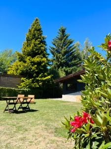 a park with a picnic table and two trees at Las Viñas Hostel Boutique in San Carlos de Bariloche