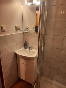 a bathroom with a sink and a mirror and a shower at Alfa2 apartament 1 in Bystra
