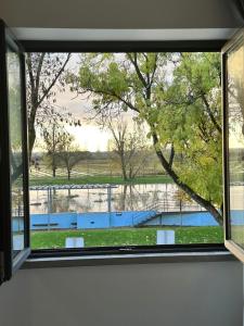 a window in a room with a view of a park at Casa do Rio Sorraia in Coruche