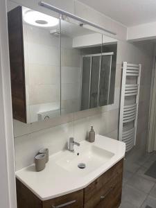 a bathroom with a sink and a mirror at Ferienwohnung-Auszeit in Bad Harzburg