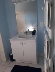 a bathroom with a sink and a white refrigerator at Gîte l'Etape in Pirajoux