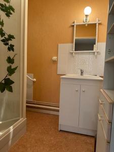 Baño pequeño con lavabo y espejo en Appartement T3 bord de la Vienne en Chinon