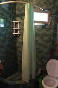 La salle de bains est pourvue d'une douche, de toilettes et d'un rideau de douche. dans l'établissement Hostel Old City Sololaki, à Tbilissi