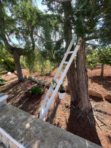 Afbeelding uit fotogalerij van La Giopalma in Monopoli +34 foto's