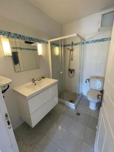 a bathroom with a toilet and a sink and a shower at Ariadne's apartment - Apollonas in Apollon