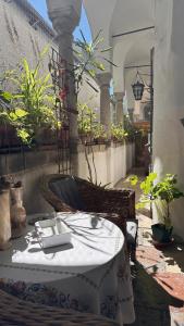 Balcone o terrazza di LINZ CITY CENTER - Historisches Apartment & Refugium