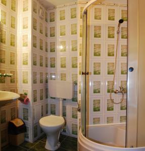 a bathroom with a toilet and a shower at Grandemi Belvedere Bucovina in Frasin