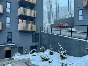 DD Apartments - Mavrovo under vintern