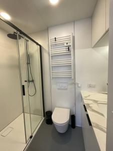a bathroom with a toilet and a glass shower at Good Spot Zieleniec Twin Eco 01 in Duszniki Zdrój