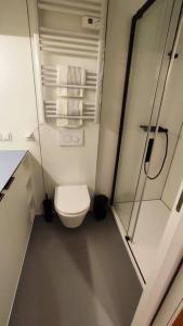 mała łazienka z toaletą i prysznicem w obiekcie Good Spot Zieleniec Twin Eco 02 w mieście Duszniki Zdrój