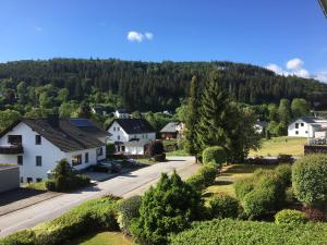 a view of a village with houses and trees at Kristallklar inklusive MeineCard Plus in Willingen