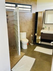 La salle de bains est pourvue de toilettes et d'un lavabo. dans l'établissement Tahiti Moetama Cosy Lodge - VILLA ITI, à Punaauia